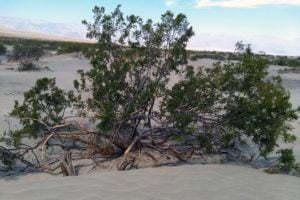 Death Valley