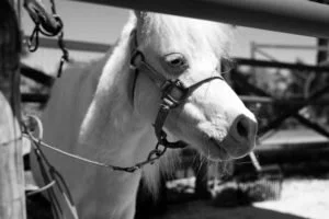 Economics even bores Mr ED