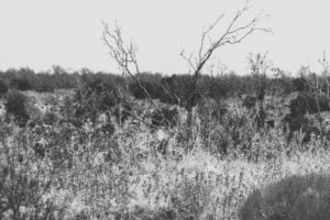 one-two-three-what-are-we