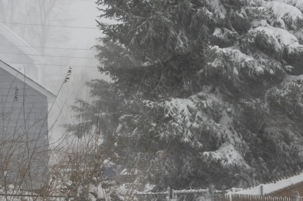 Winter of Discontent in Amereica
